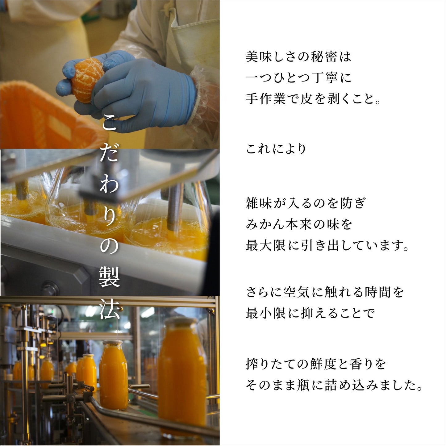 うんしゅうみかん100%ジュース1本/180ml