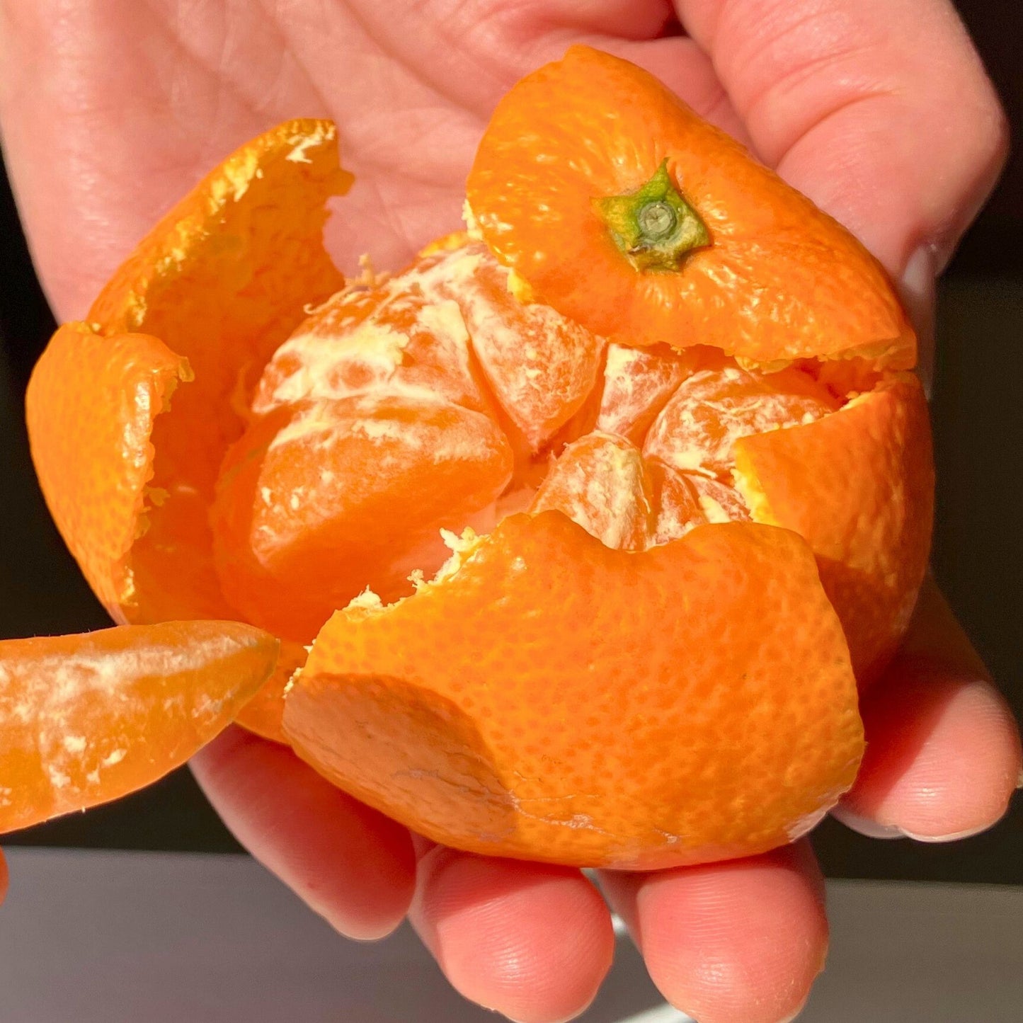 青島みかん サイズ混合 【販売中】