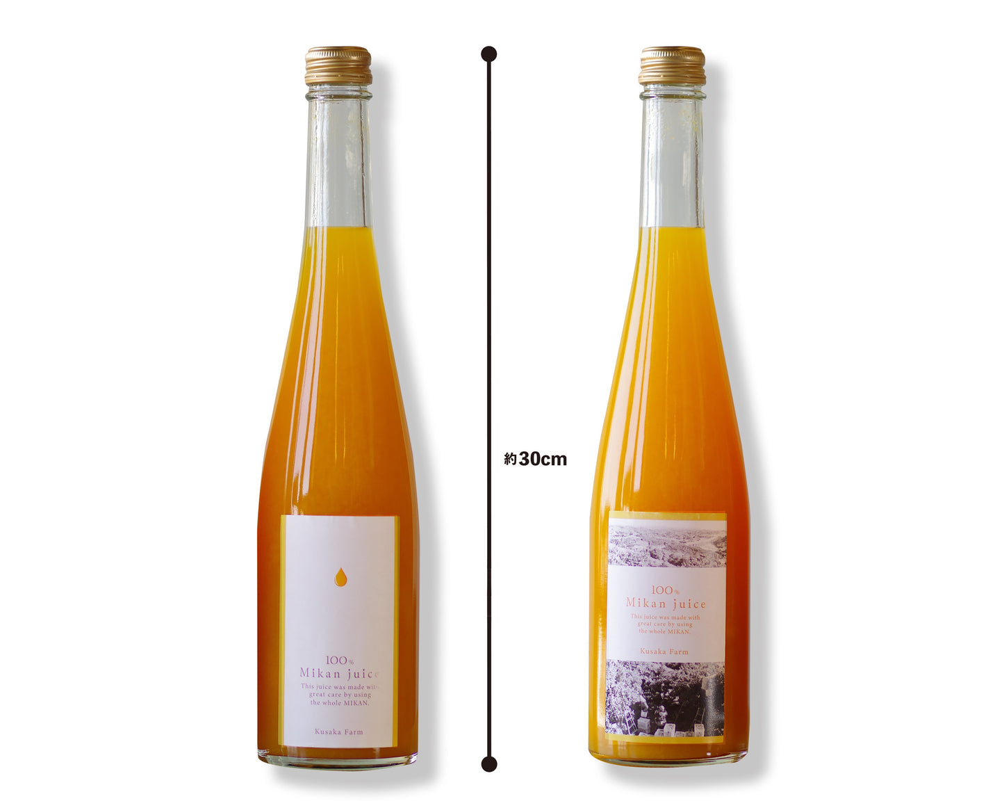 日下みかんストレートジュース 【瓶】500ml 1本