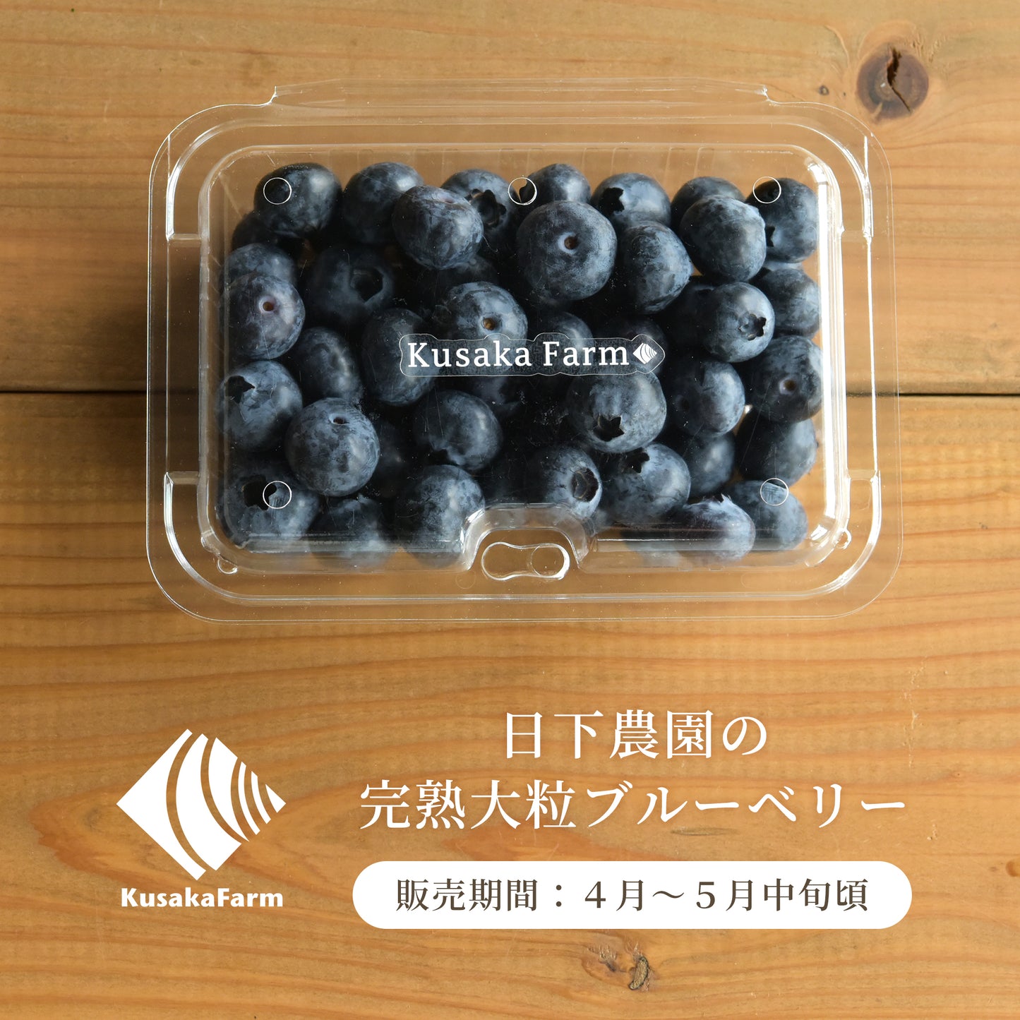 【2025年度の販売は終了しました】日下ブルーベリー