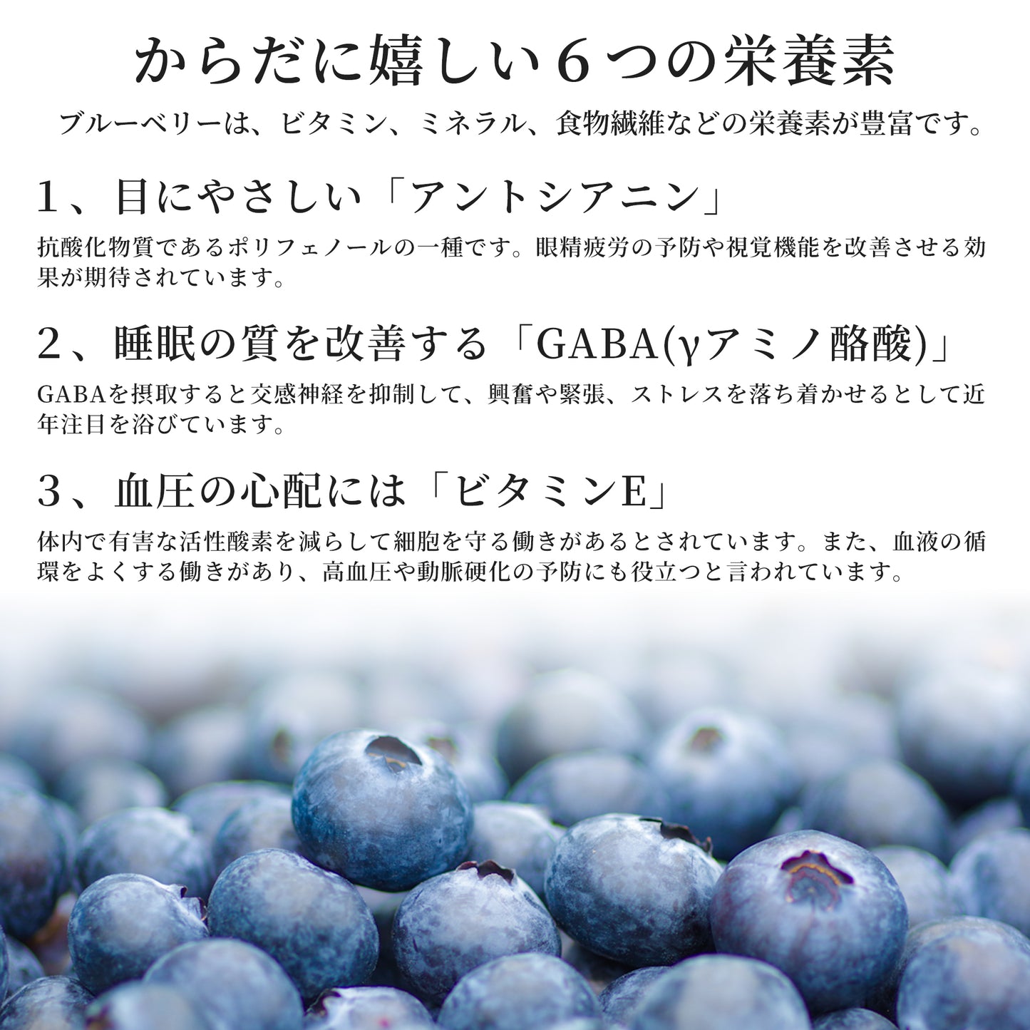【2025年度の販売は終了しました】日下ブルーベリー