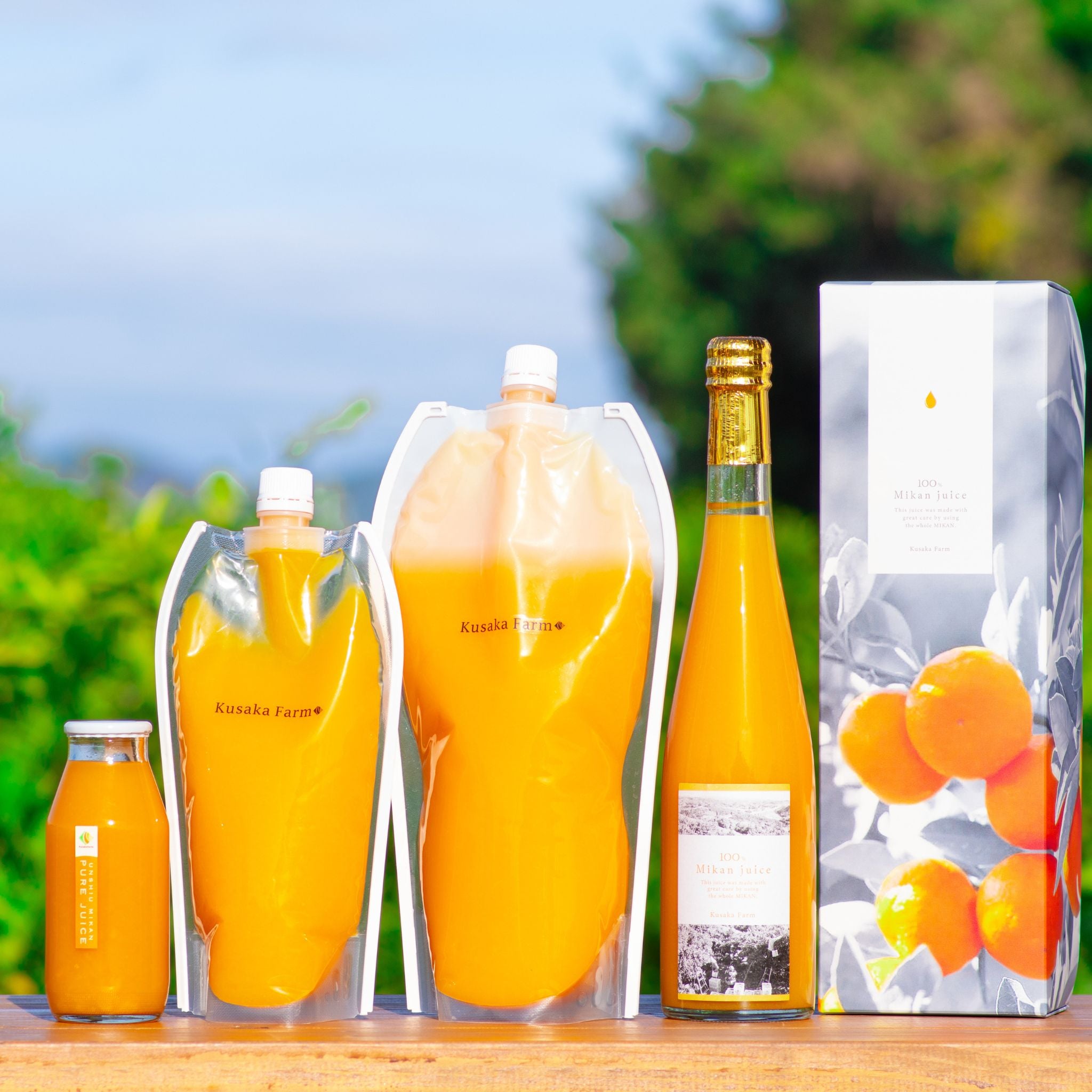 ◆ みかん 雨よけみかん・山北・はちきんキッス5kgSM