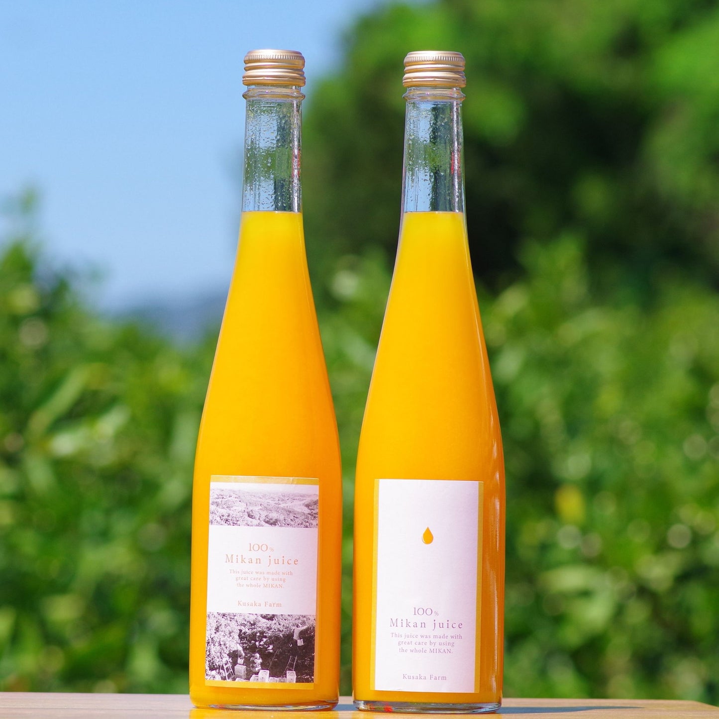日下みかんストレートジュース 【瓶】500ml 1本