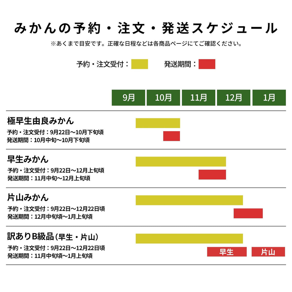 ご予約受付中【10月中旬以降発送】由良みかん