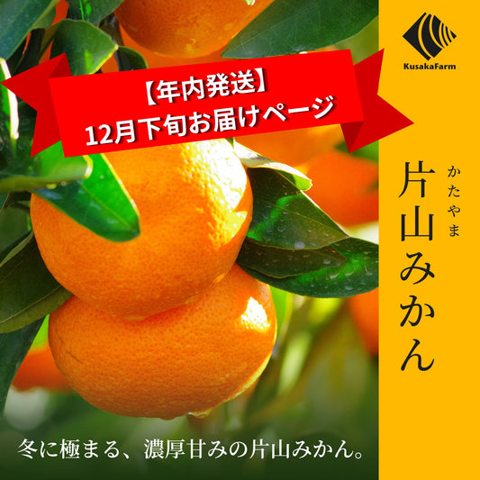 ご予約受付中【年内お届け】片山みかん【12月下旬以降発送】