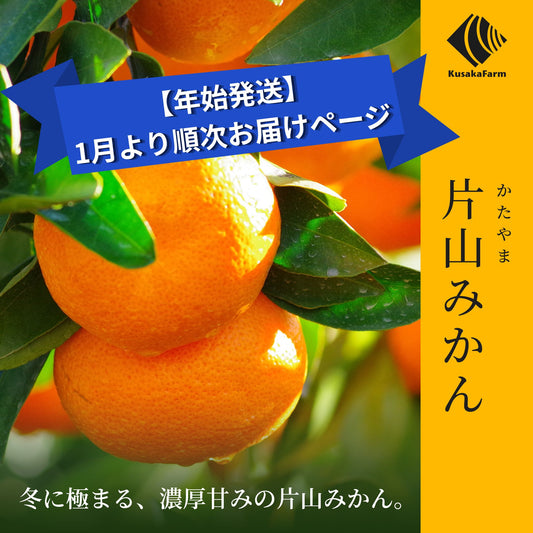 ご予約受付中【年始発送】片山みかん【1月以降発送】