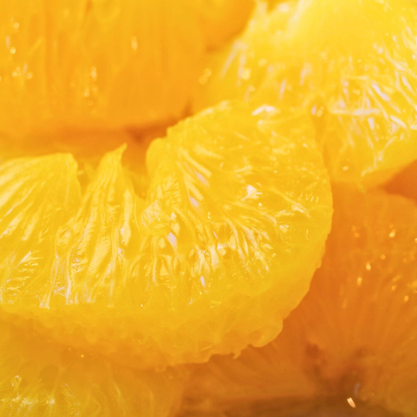 スルガ甘夏【ご予約受付中：2月下旬～順次発送開始】