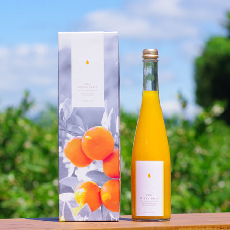 日下みかんストレートジュース 【瓶】500ml 1本