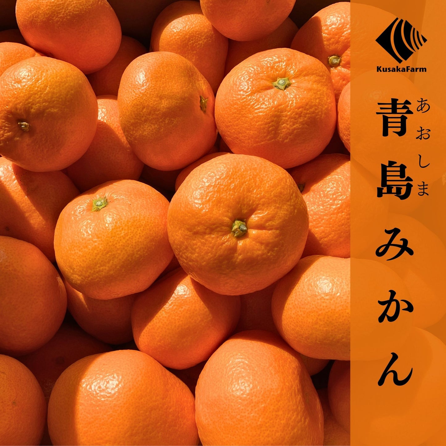 青島みかん　サイズ混合　【販売中】