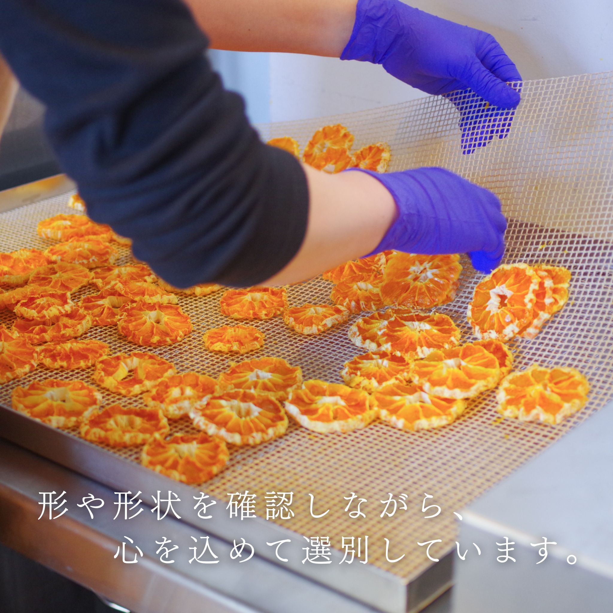 無添加・砂糖不使用】日下農園のドライみかん皮なし❘25g
