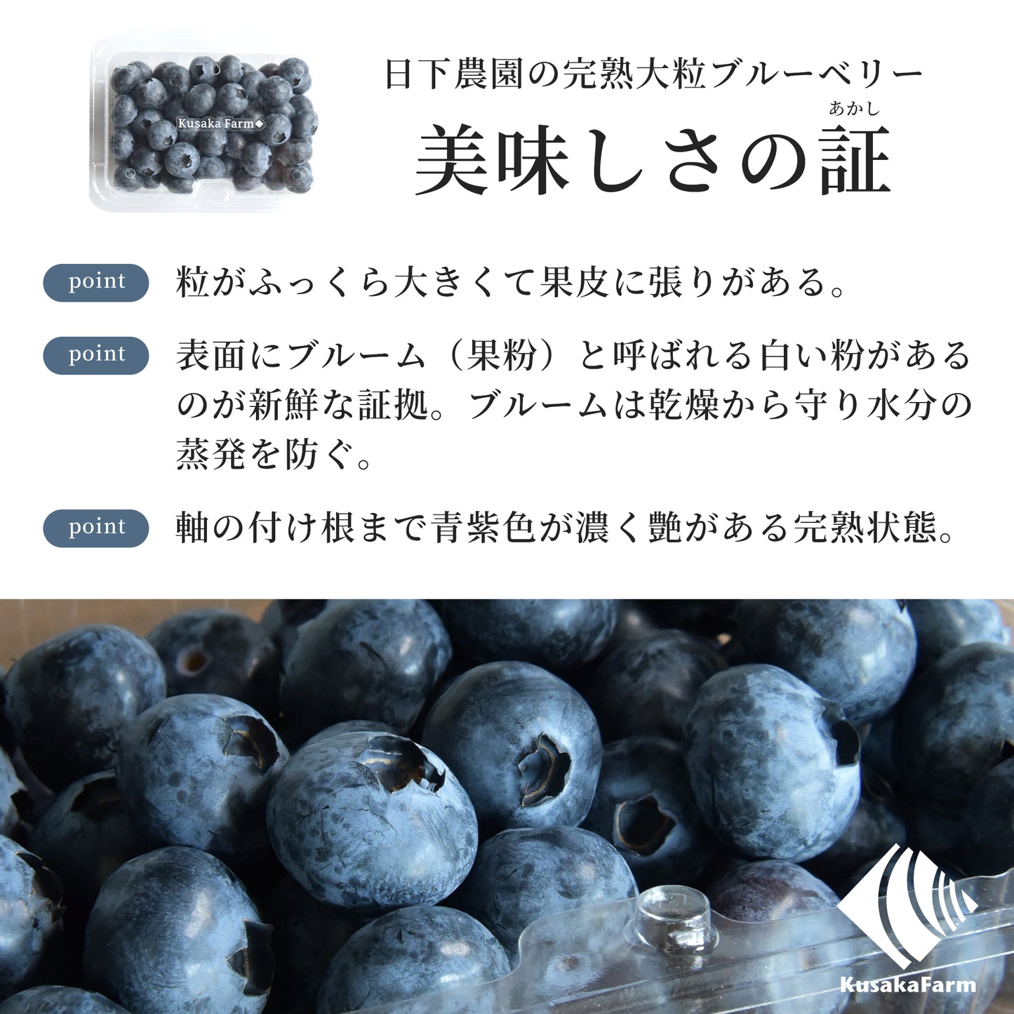 【2025年度の販売は終了しました】日下ブルーベリー
