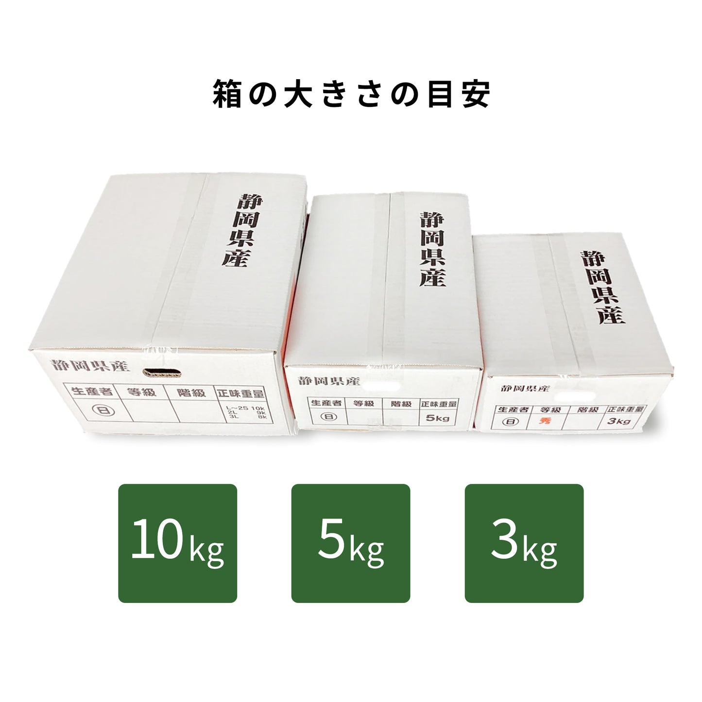 片山みかん　[予約販売開始：2025年9月22日]