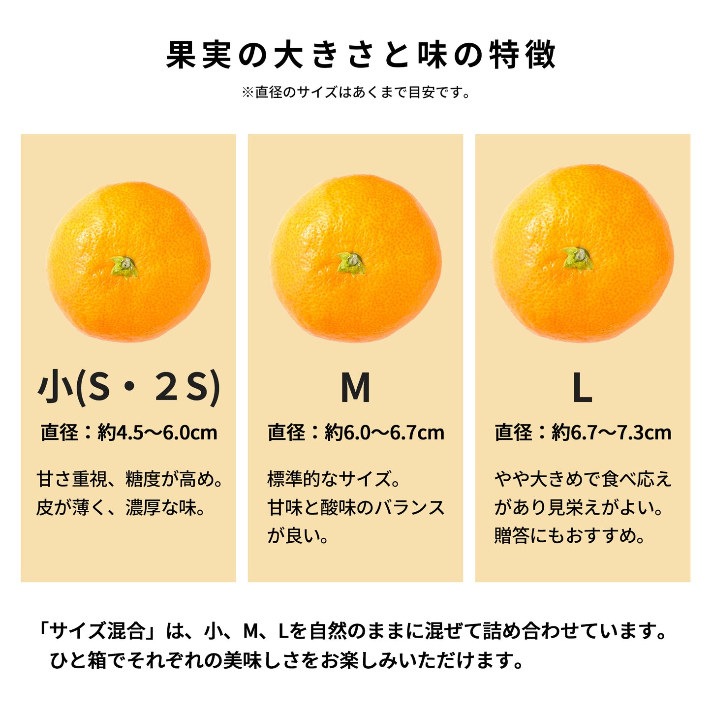 片山みかん　[予約販売開始：2025年9月22日]