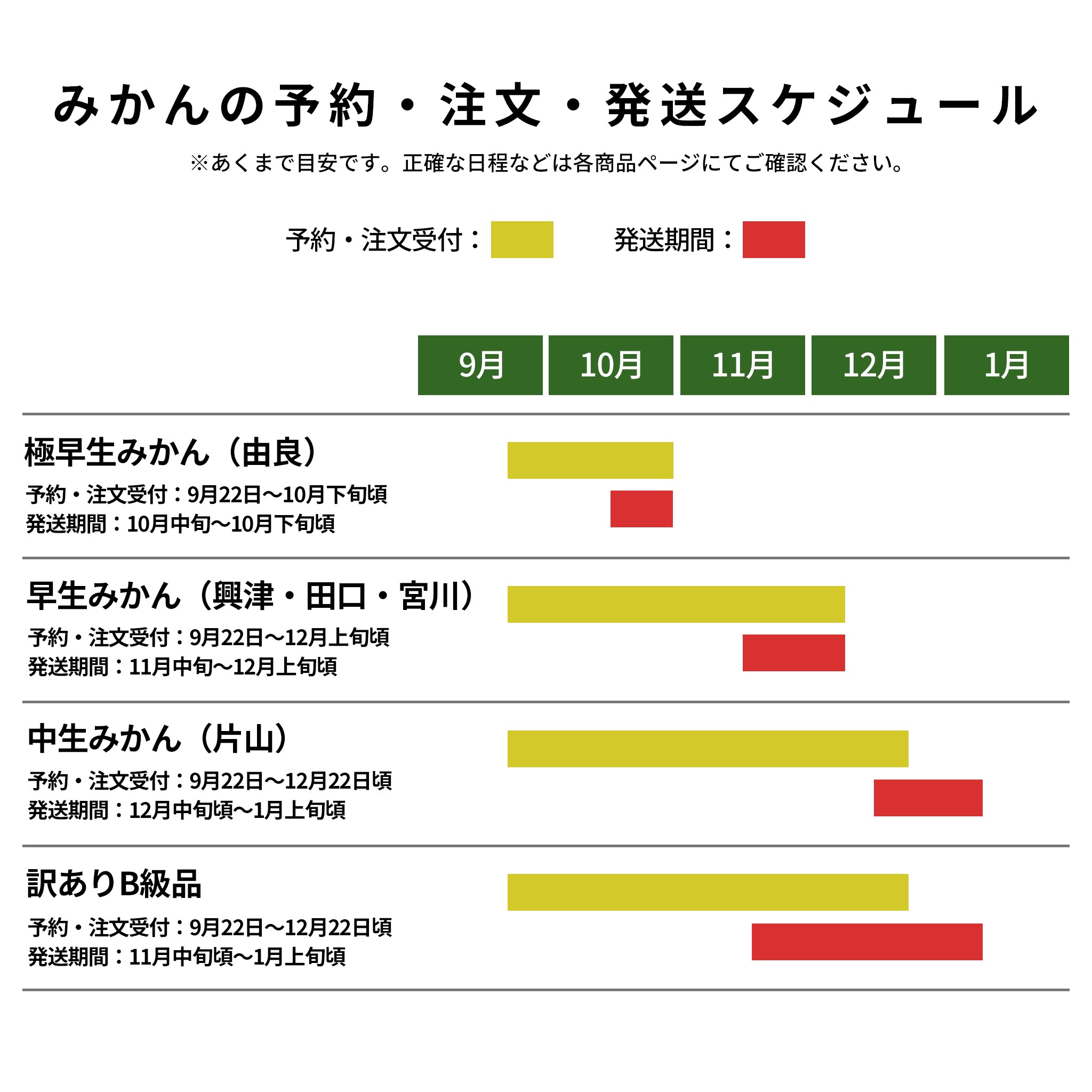 訳ありB級品みかん 10kg【販売終了】