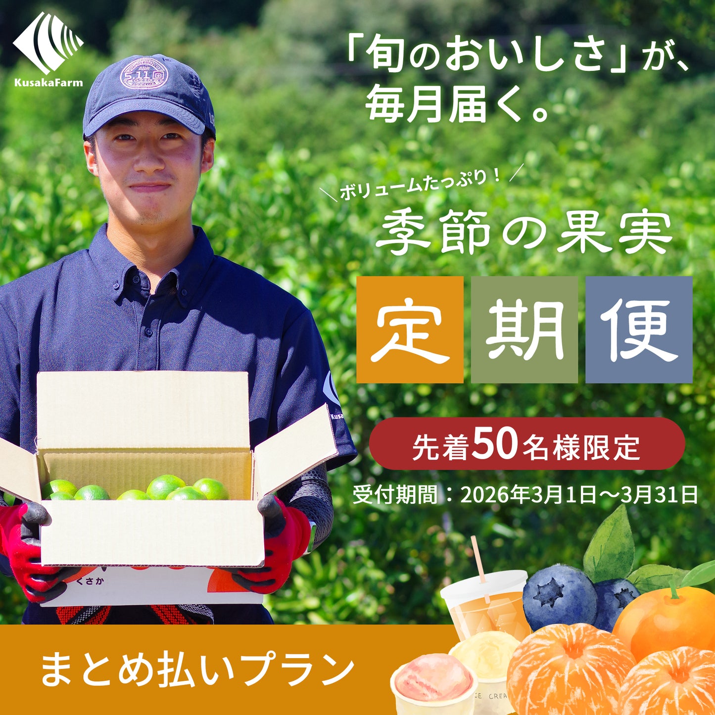 2026年度 季節の果実 定期便 【お得な一括まとめ払いプラン】